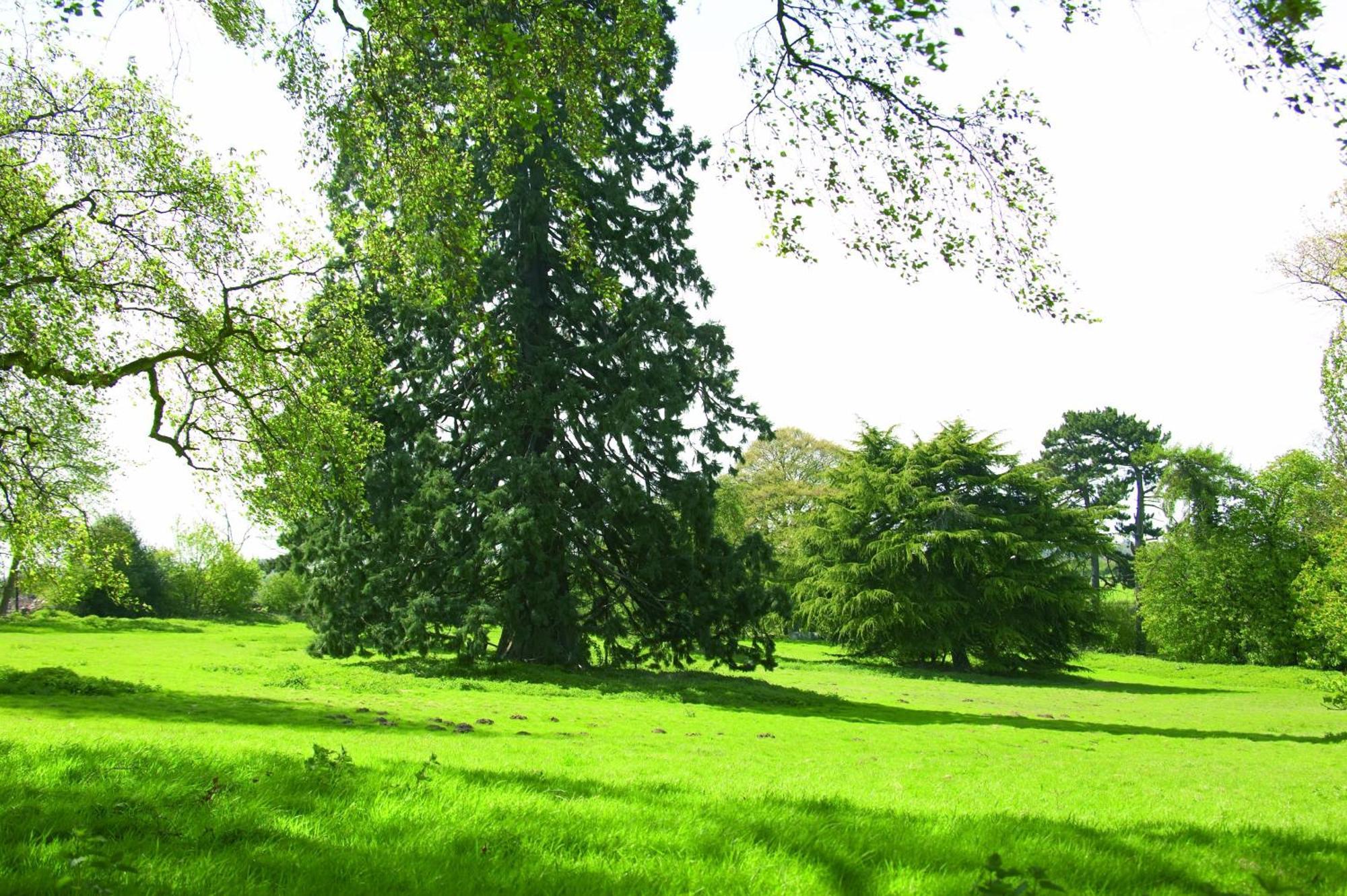 Hotel Woodland Grange Lillington  Esterno foto